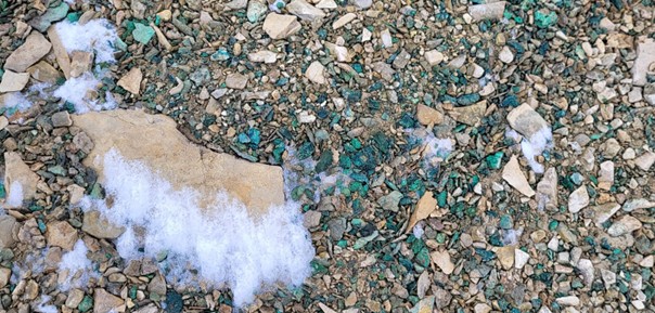 Figure 1: A photo of interpreted copper sulfides/oxides (green) on the surface at the Chinook Deposit, Storm Project, Nunavut. The material has not been assayed.