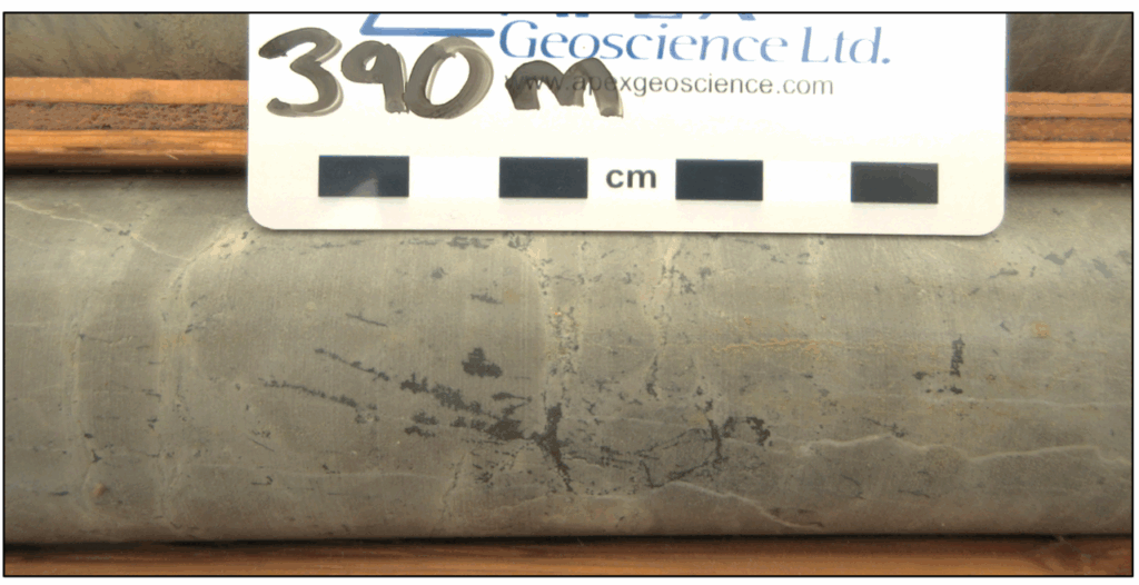 Figure 1: Visual sulfide (dark grey mineral, interpreted to be chalcocite) at 390m downhole in drill hole AB18-04. Chalcocite is a copper sulfide mineral that contains approx. 80% Cu. This drill hole has not yet been sampled, and visual estimates of sulfide type, quantity and habit should not be considered a substitute for laboratory assays. Laboratory assays are required to determine the widths and grade of mineralization. Portable XRF has been used to assist logging.