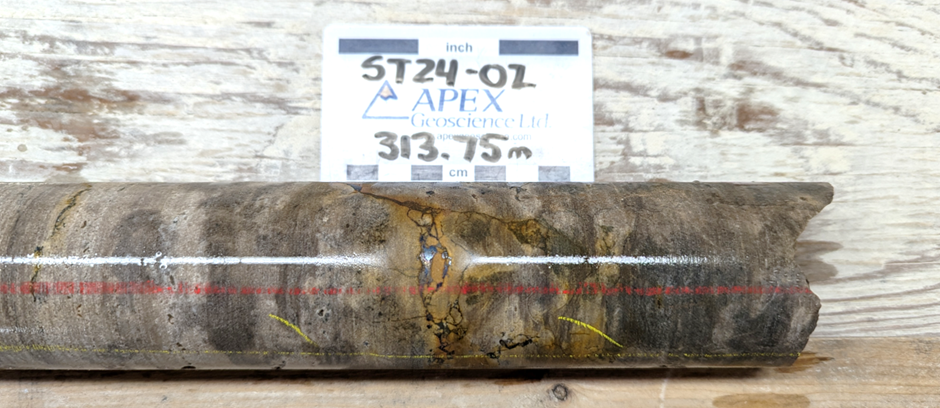 Figure 3: Chalcocite (dark grey) and bornite (metallic blue) fracture fill in drill hole ST24-02 at approximately 313.75m downhole (this piece of core is within an interval of 1m @ 0.33% Cu).

