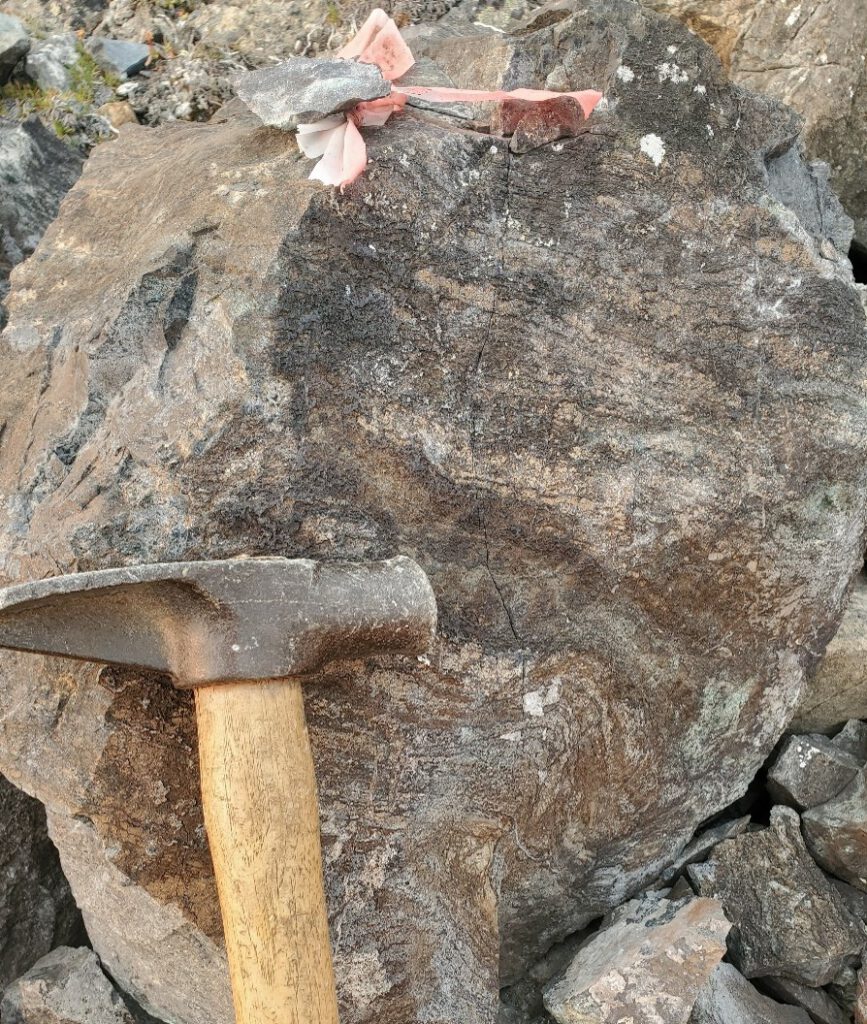 Historical Flagged Sample Of Organic Rich Dolomite Boulder At Cbc Showing