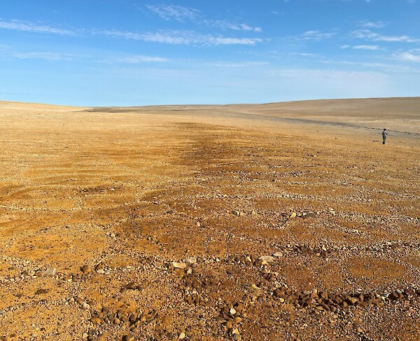 Figure 5: Photo of the southern Tempest copper/zinc gossan (brown/reddish rocks), looking north.