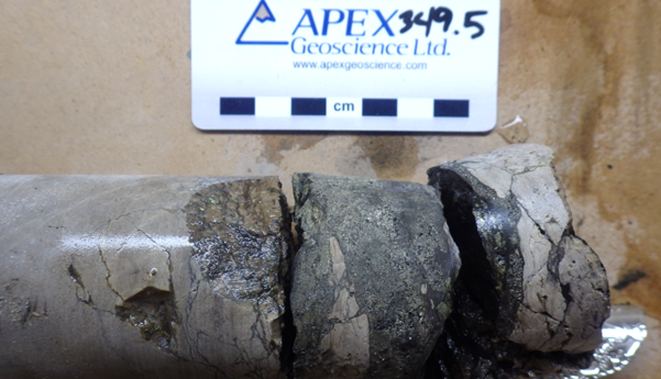 Figure 1: Breccia chalcocite (dark grey) and pyrite (yellow, brassy) in drill hole ST23-04 from approximately 349.5m downhole.