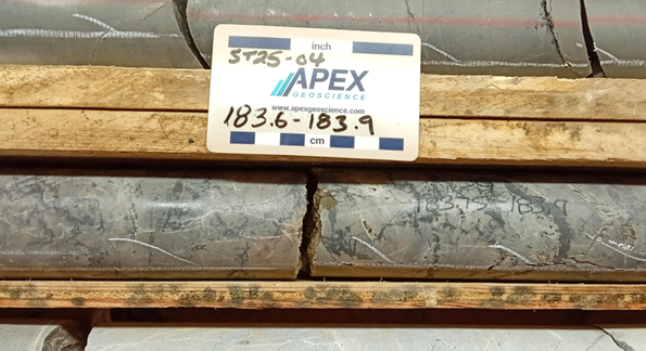 Figure 2: Dense breccia and fracture fill visual pyrite and chalcopyrite from ST25-04 (183.6-183.9m downhole).