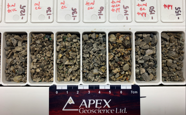 Figure 2: RC Drill chips from RC drill hole SR23-52 from the Lightning Ridge Prospect. The interval is from 125ft (38m) to 155ft (47.2m) downhole.
Chalcocite (80% copper) veins and chips are visible as dark grey, with malachite (copper oxide) seen as green.