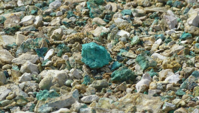 Figure 2: Chalcocite (with malachite alteration) is extensively exposed at surface at Storm
and suggests potential ‘leakage’ sourced from a large sediment-hosted copper system below.