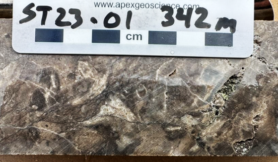 Figure 3: Chalcopyrite (brassy) in vugs and veinlets in drill hole ST23-01 from approximately 342m downhole.