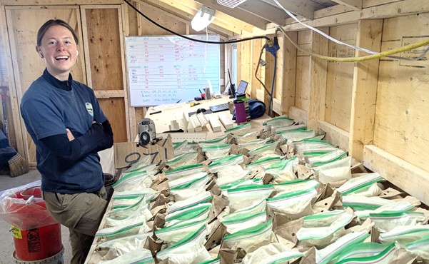 2025 11 17 Bay Nr Fig1