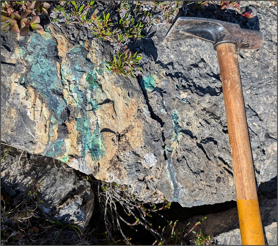 2026 01 15 Bay Nr Fig2